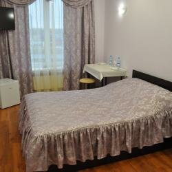 Гостиница Артик Воронеж-42